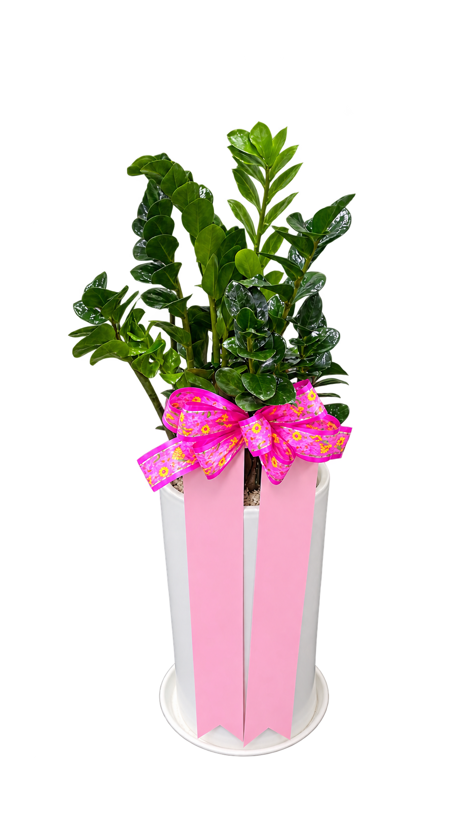 74ee0274580ce15196e02ef1c354ebf7_1788935396_2711.png